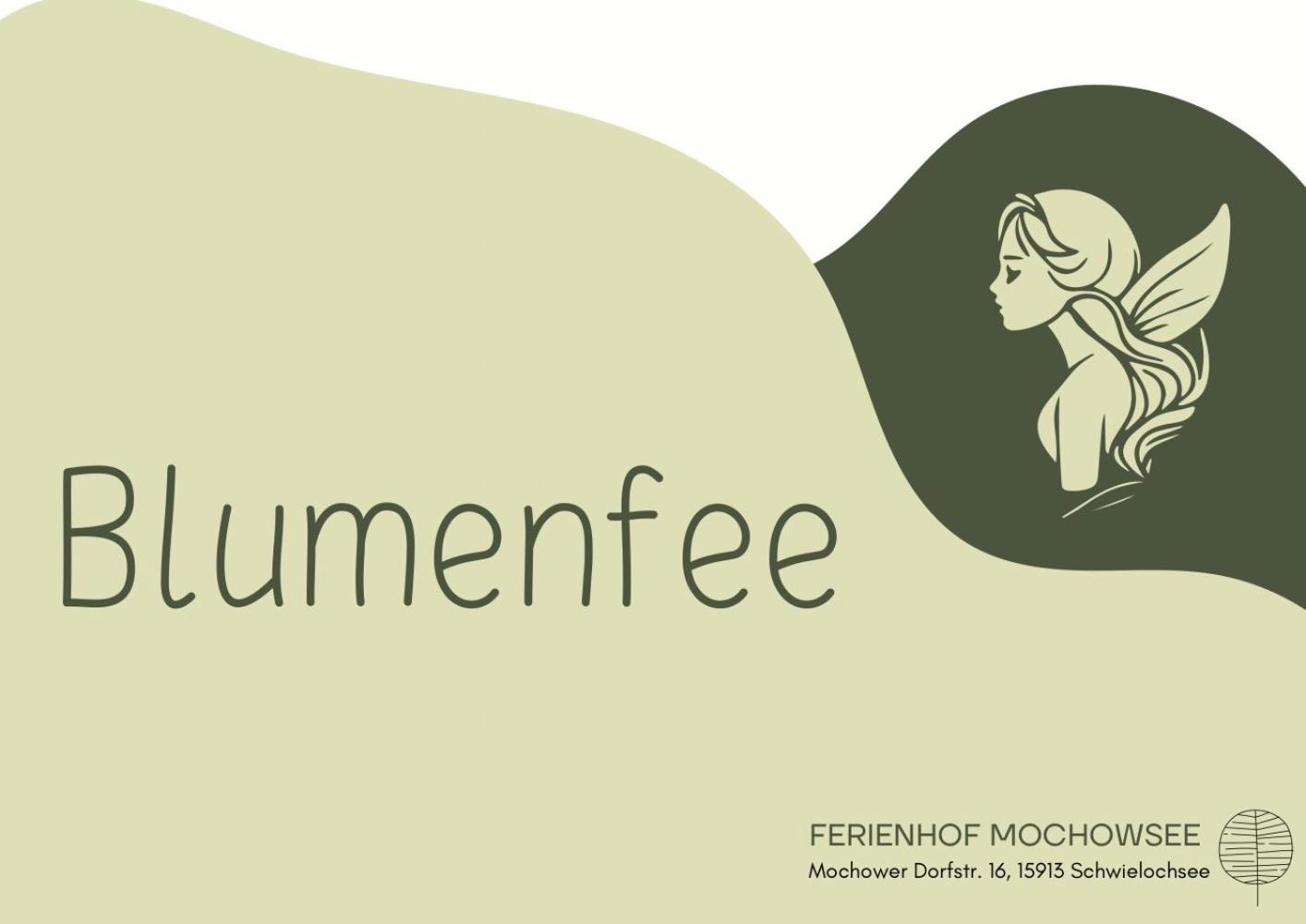 Ferienhof Mochowsee شفيلوشسي الغرفة الصورة