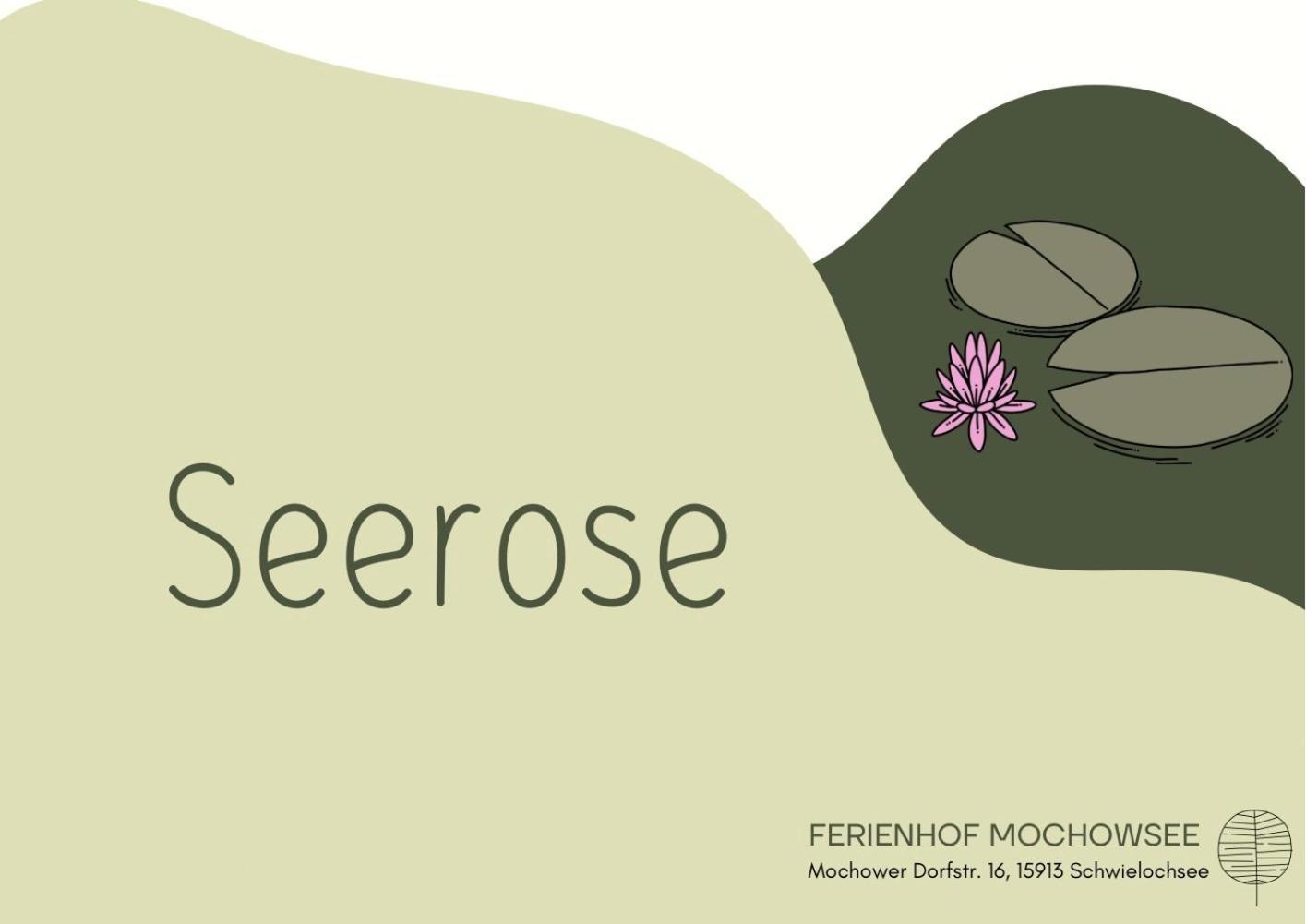 Ferienhof Mochowsee شفيلوشسي الغرفة الصورة